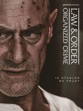 法律与秩序：组织犯罪第五季第03集