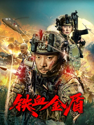 铁血金盾正片