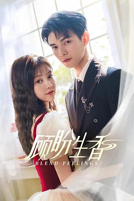 顾盼生香第02集