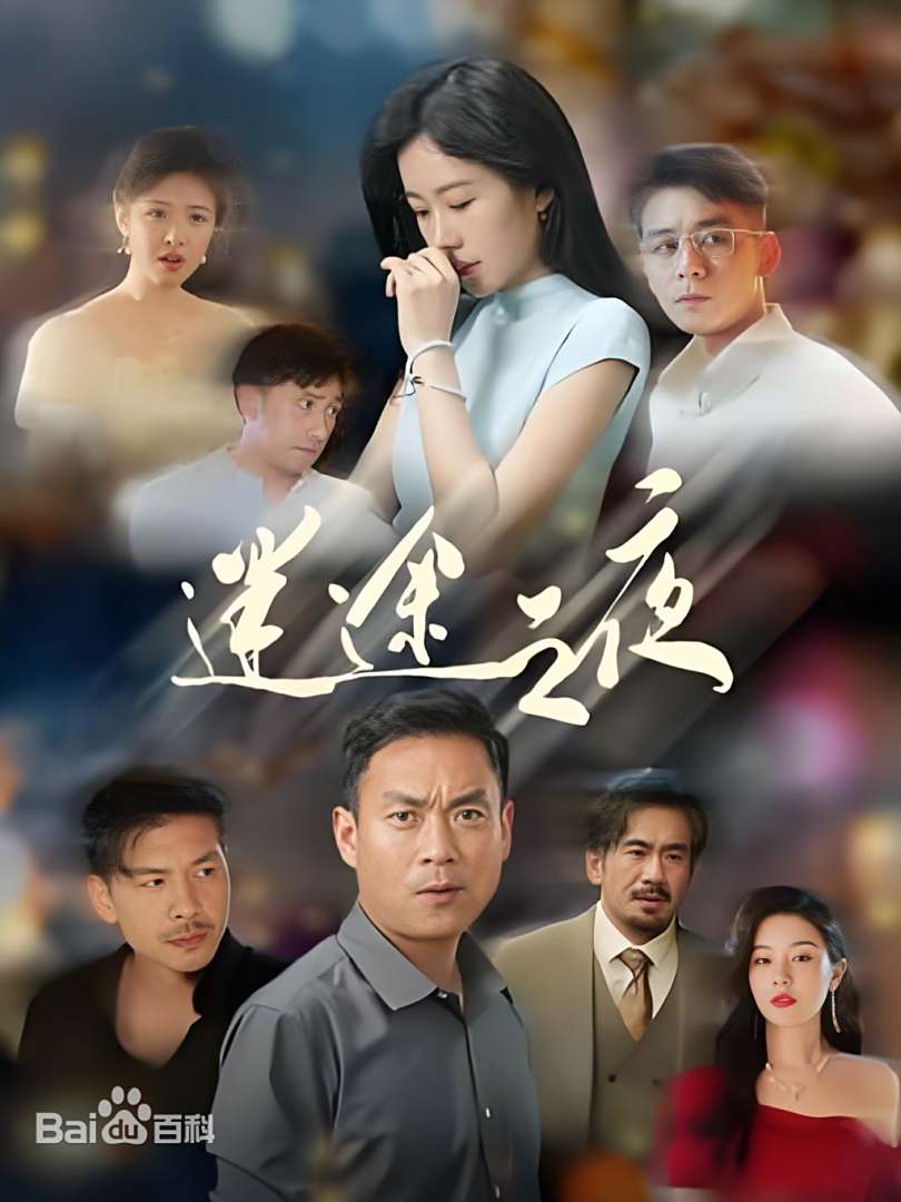 迷途之夜第11集