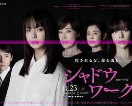 影子工作第05集(大结局)