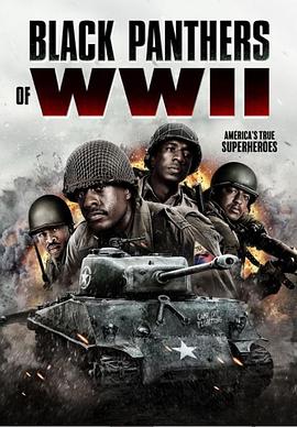 二战黑豹正片
