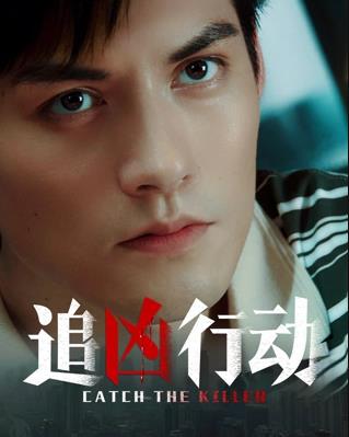 追凶行动正片