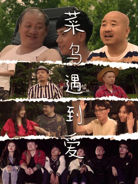 菜鸟遇到爱第17集