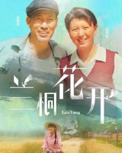 兰桐花开第10集