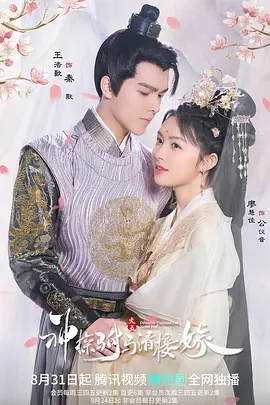 神探驸马请接嫁第14集