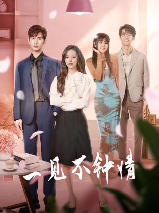 一见不钟情第12集
