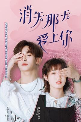 消失那天爱上你第12集(大结局)