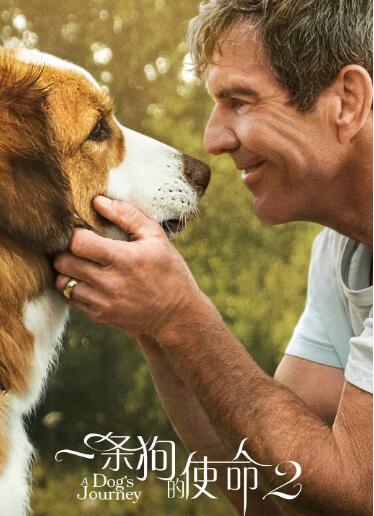 一条狗的使命2正片