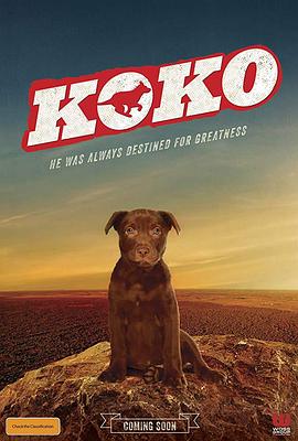 Koko：红犬历险记正片