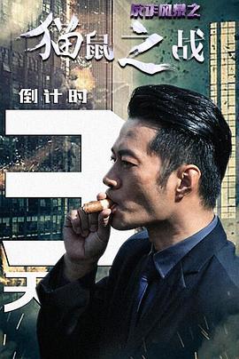 反诈风暴之猫鼠之战正片