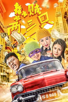 蠢贼两三只正片