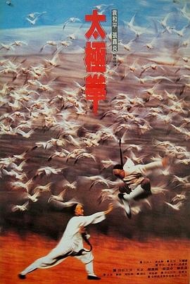 功夫小子闯情关正片