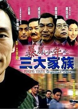 暴风少年之三大家族正片