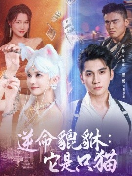 逆命貔貅它是只猫第04集