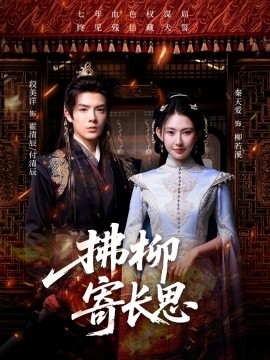 拂柳寄长思第33集
