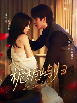 栀栀屿归第41集