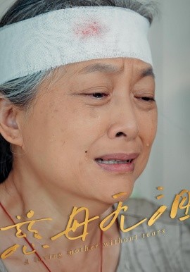 慈母无泪第14集