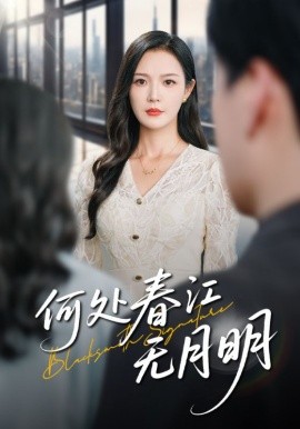 何处春江无月明第19集