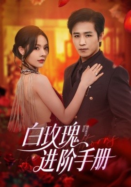 白玫瑰进阶手册第47集