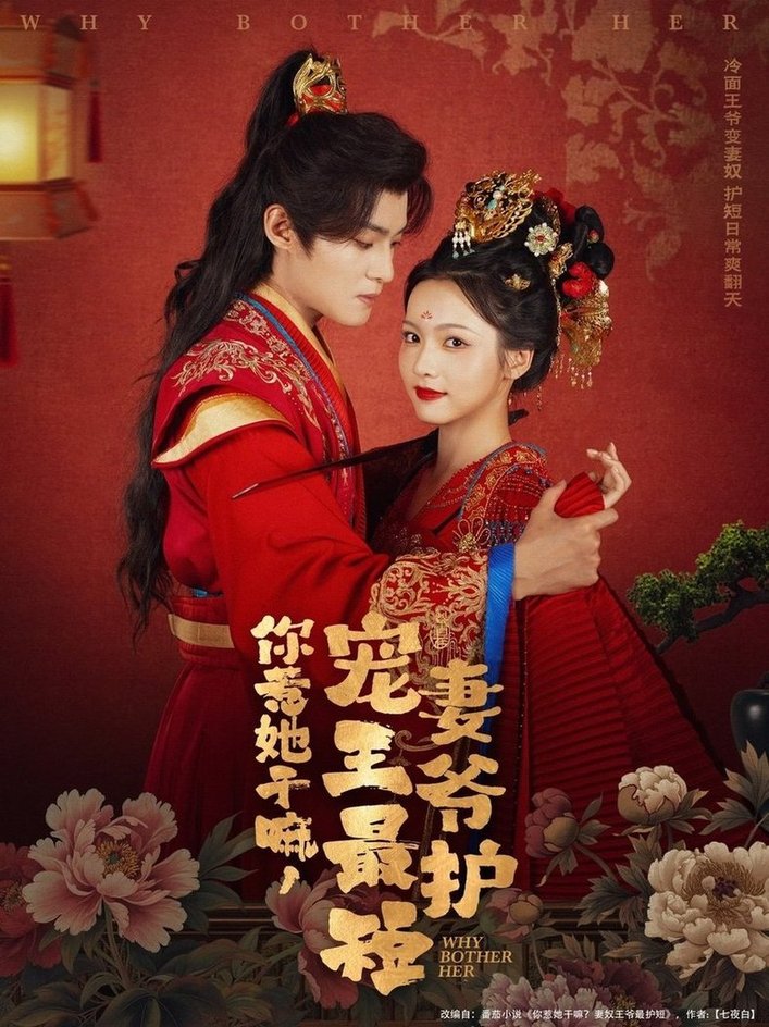 你惹她干嘛，宠妻王爷最护短第01集