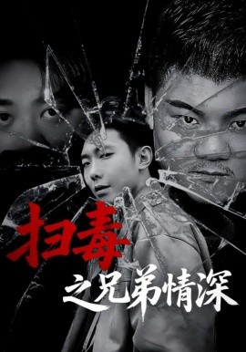 扫毒之兄弟情深第01集