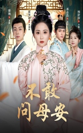 不敢问母安 母亲万福金安第02集