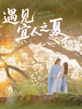 遇见宜人之夏第19集