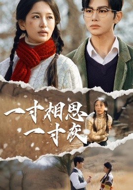 一寸相思一寸灰第27集