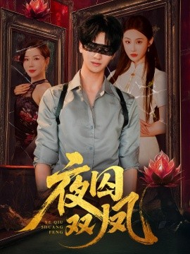 夜囚双凤第38集
