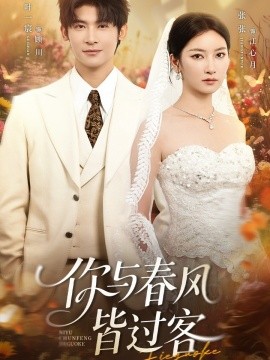 你与春风皆过客第17集