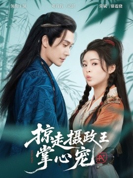 掠走摄政王掌心宠第01集