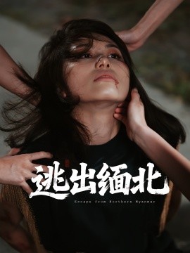 逃出缅北第01集