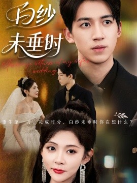 老婆婚礼我当证婚人 白纱未垂时第01集