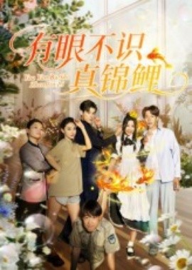 有眼不识真锦鲤第01集