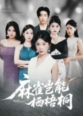 麻雀岂能栖梧桐第17集