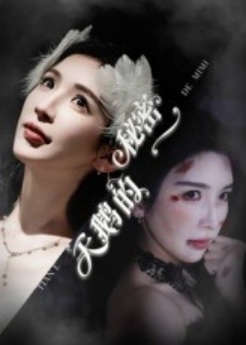 天鹅的秘密第35集