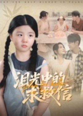 泪光中的求救信第29集