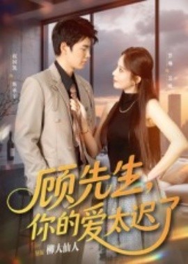 顾先生，你的爱太迟了第15集