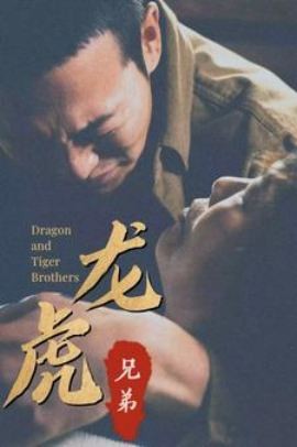 龙虎兄弟国语第45集