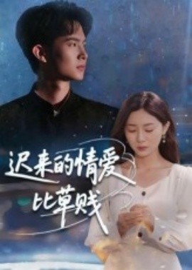 迟来的情爱比草贱第12集