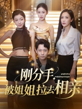 刚分手被姐姐拉去相亲第01集