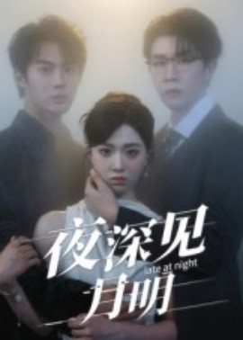 夜深见月明第17集