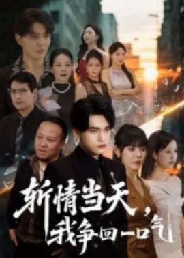 斩情当天我争回一口气第26集