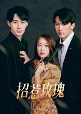 招惹玫瑰第21集