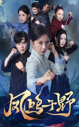 凤鸣于野第01集