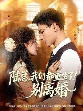 陆总我们都重生了别离婚第01集