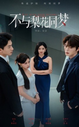 不与梨花同梦第38集