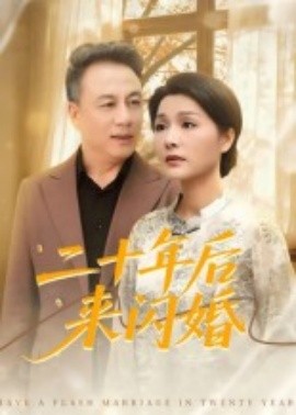 二十年后来闪婚第01集
