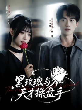 黑玫瑰与天才操盘手第01集